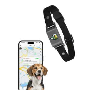 OM Pet Mini